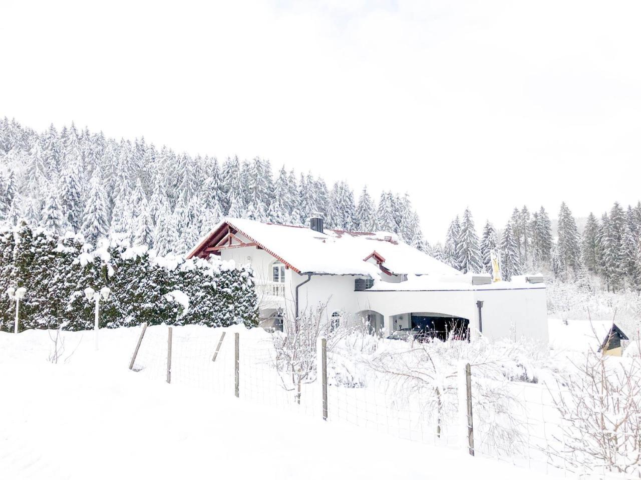 Private Villa Zwettl an der Rodl Екстер'єр фото